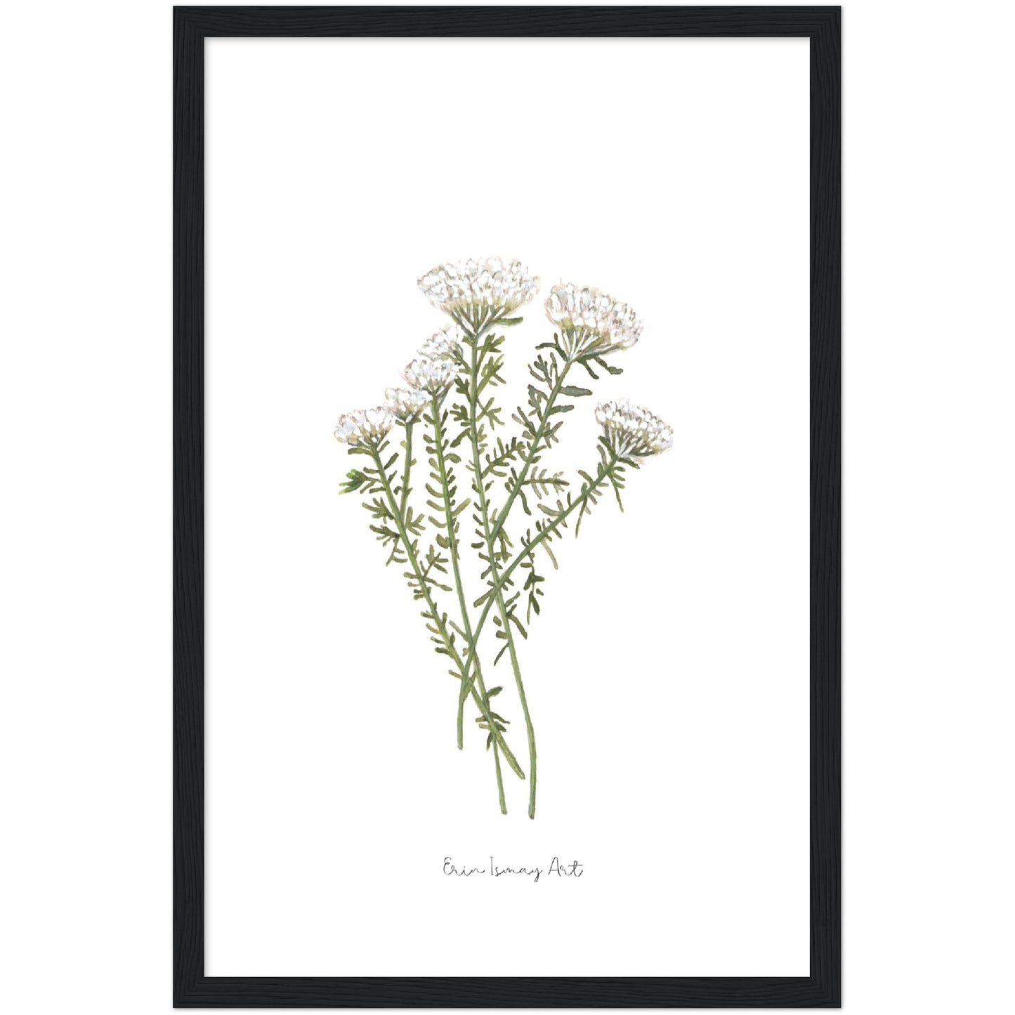 White Bristle Fynbos Watercolour Print