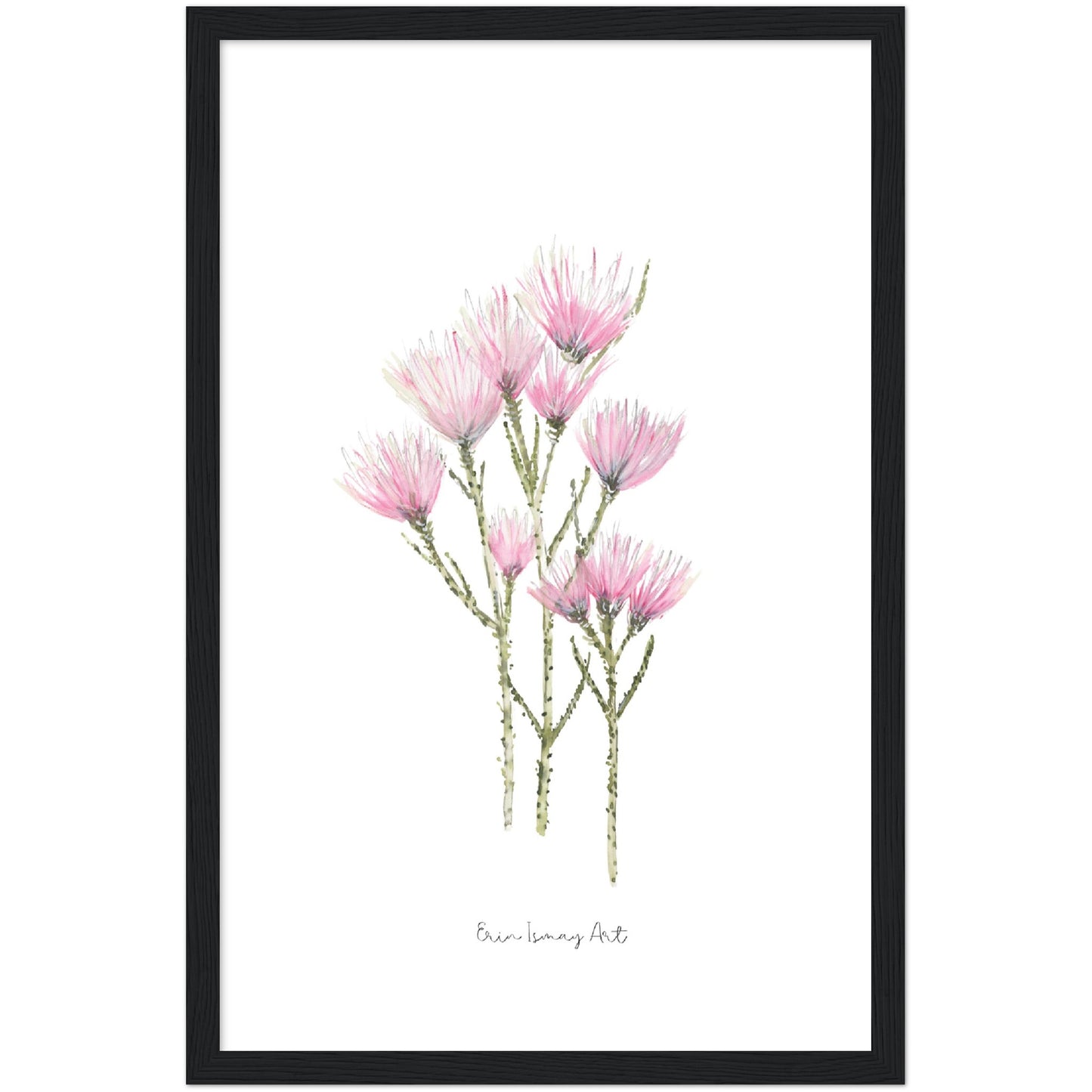 Cape Strawflower Watercolour Print