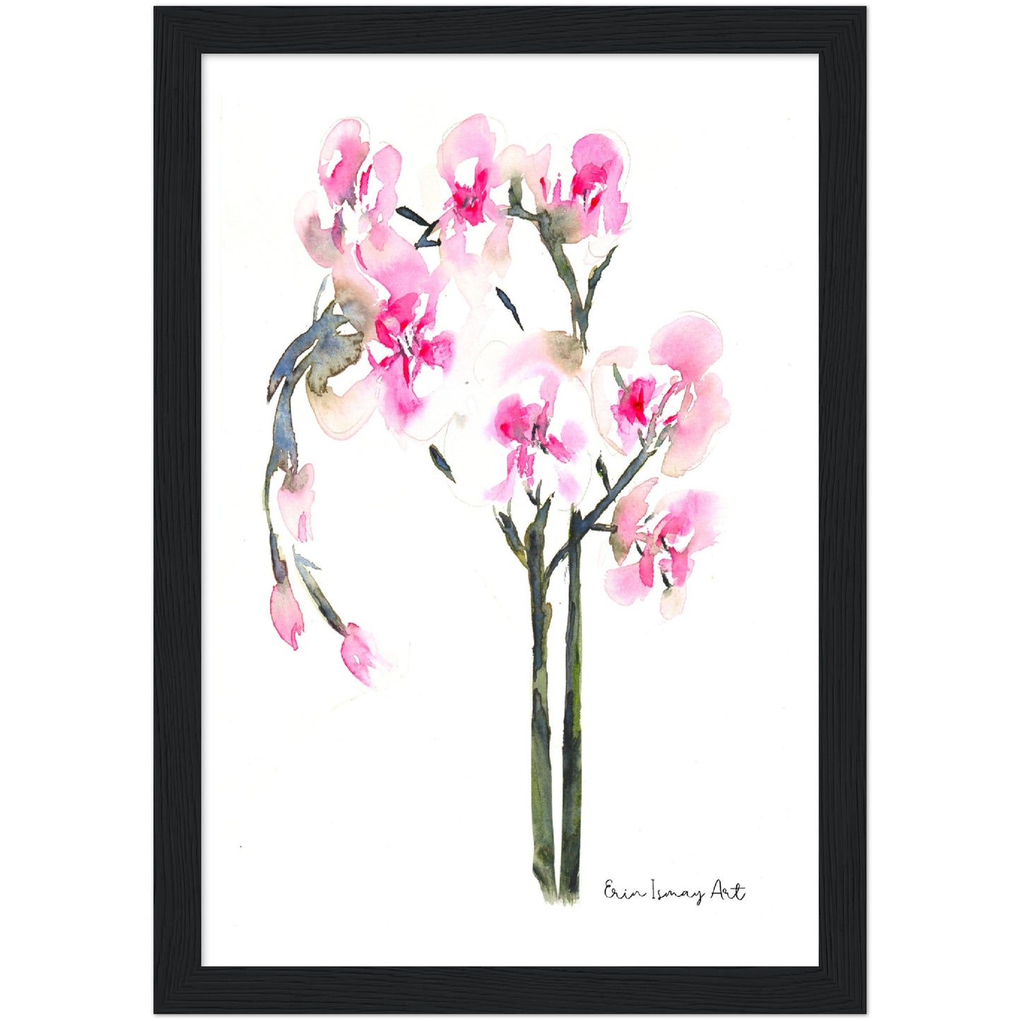 Orchid Plant Watercolour Print