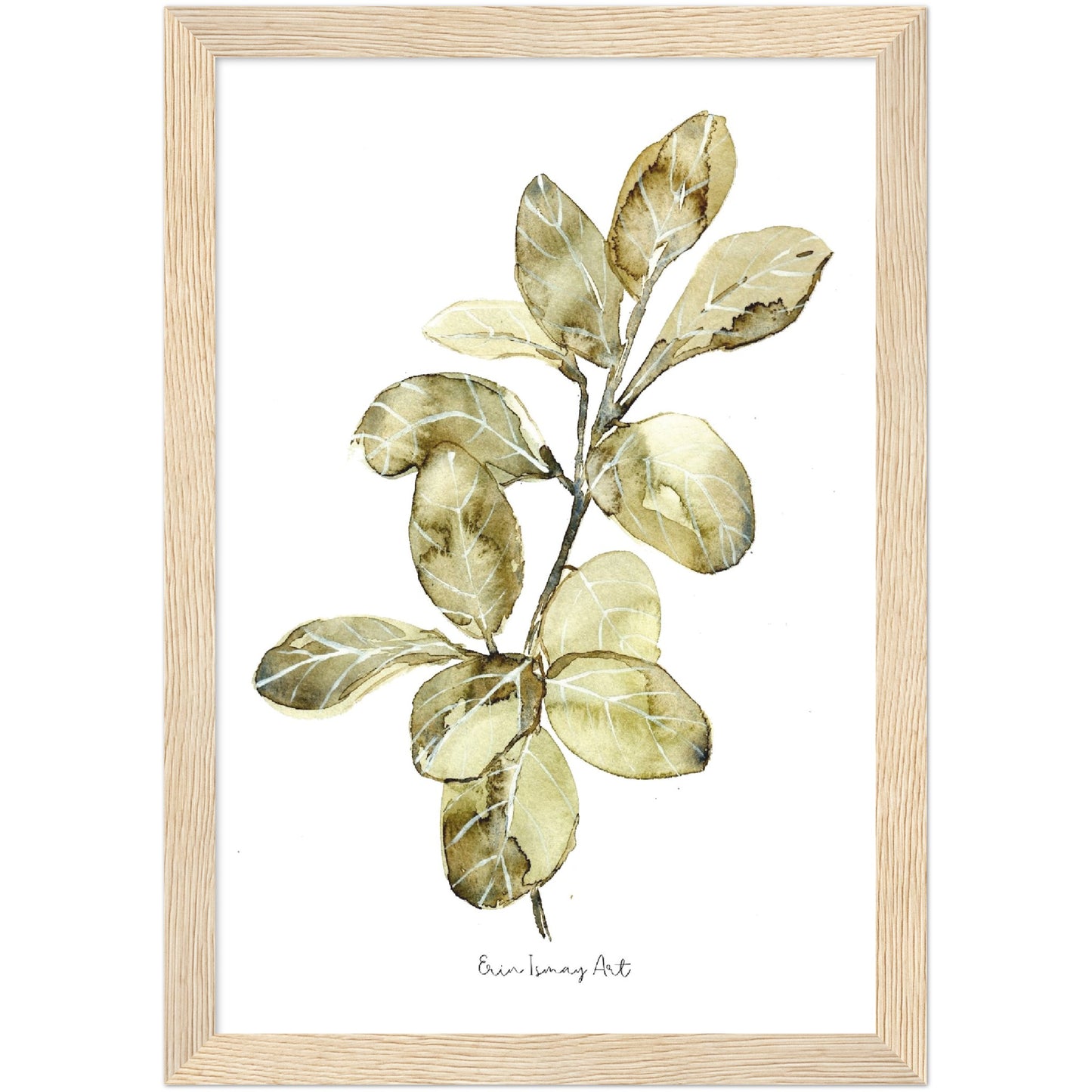Ficus Audrey Watercolour Print