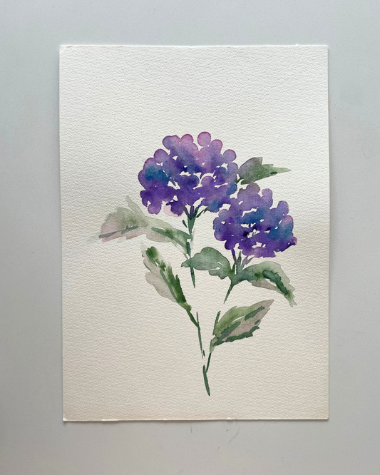 A4 Purple Hydrangea Original Watercolour