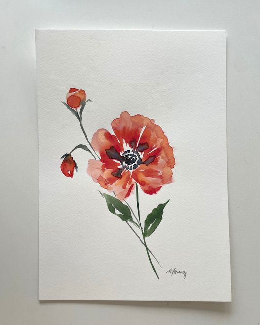 A4 Poppy Original Watercolour