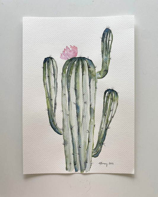 A4 Cactus 1 Original Watercolour