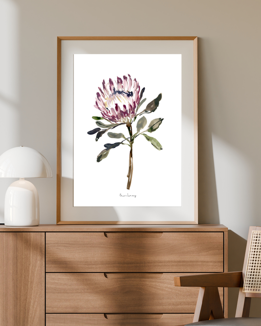 King Protea Watercolour Print