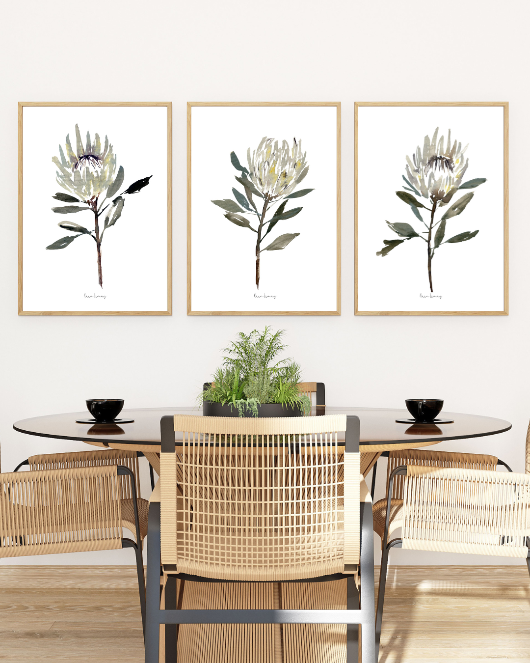 White Protea Watercolour Print - 3 Piece Set