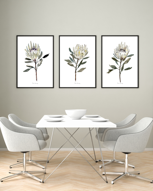 White Protea Watercolour Print - 3 Piece Set