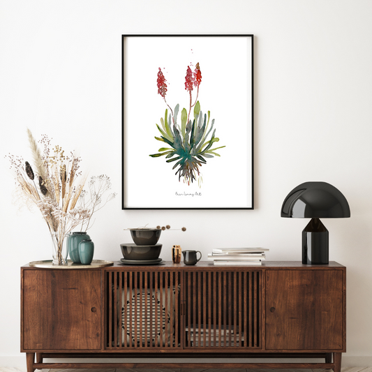 Aloe Watercolour Print