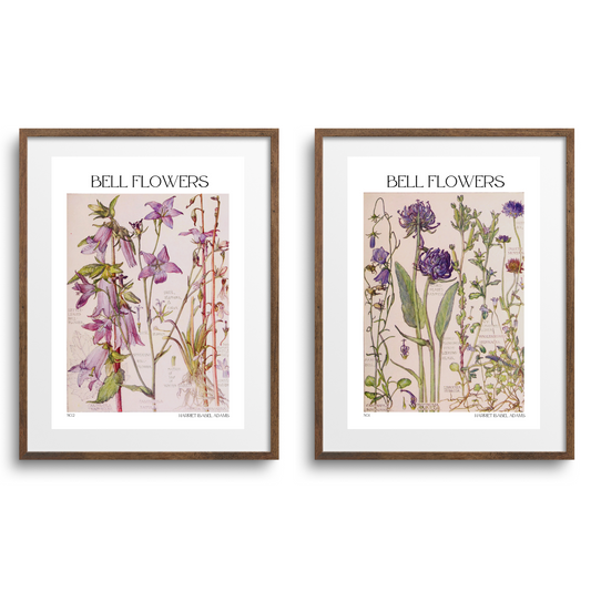 Bell Flowers Vintage Botanical Print-2 Piece Set