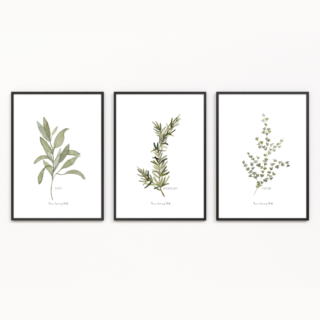 Herb Collection Watercolour- 3 Piece Set