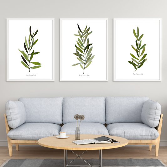 Olive Leaves Watercolour Print- 3 Piece Set