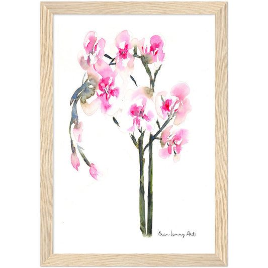 Orchid Plant Watercolour Print
