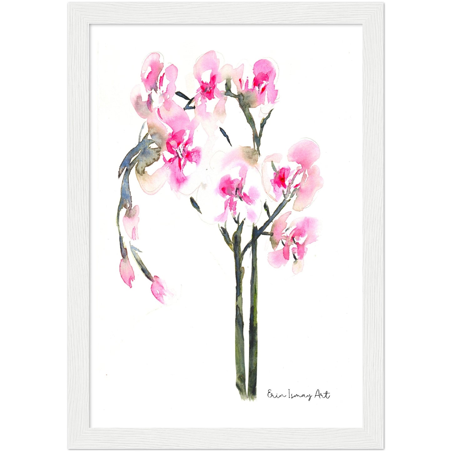 Orchid Plant Watercolour Print