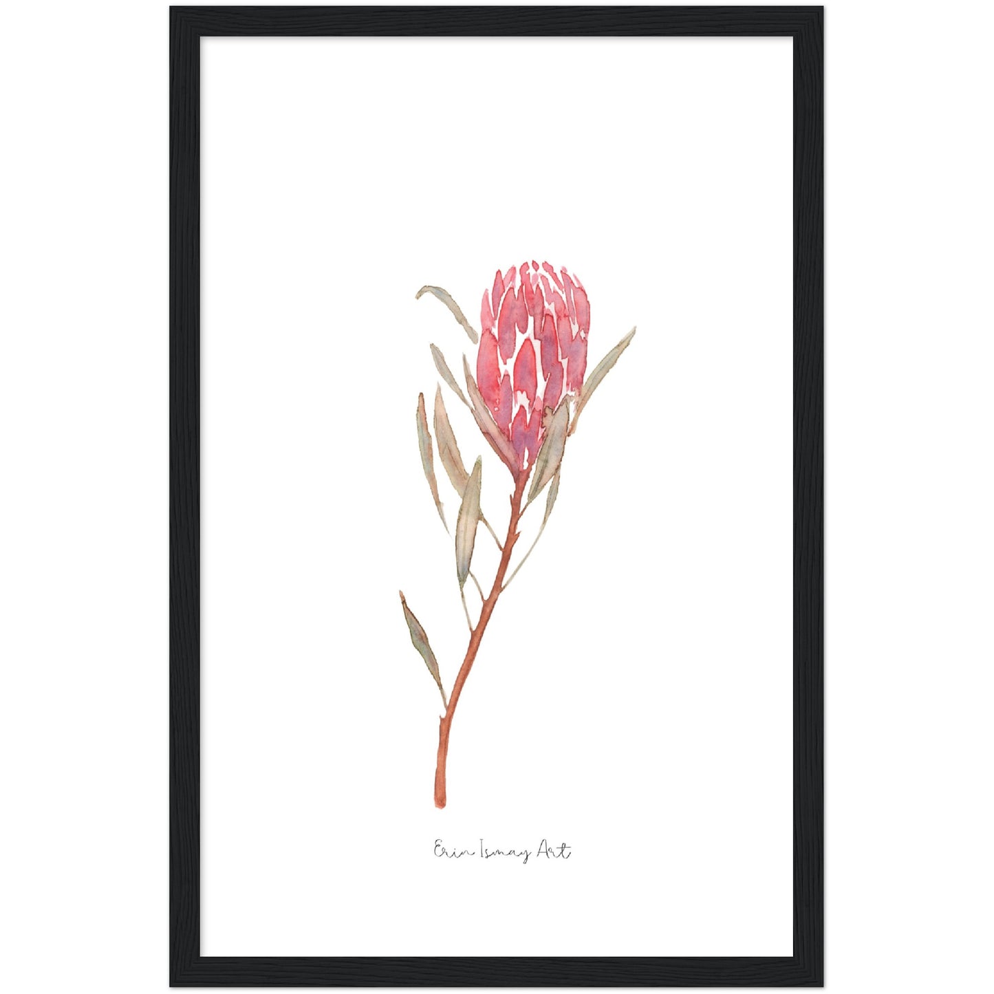 Red Ice Protea Watercolour Print