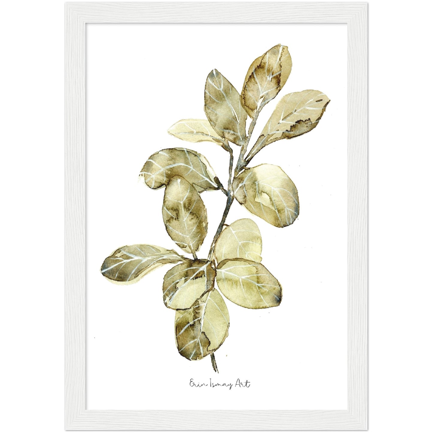 Ficus Audrey Watercolour Print