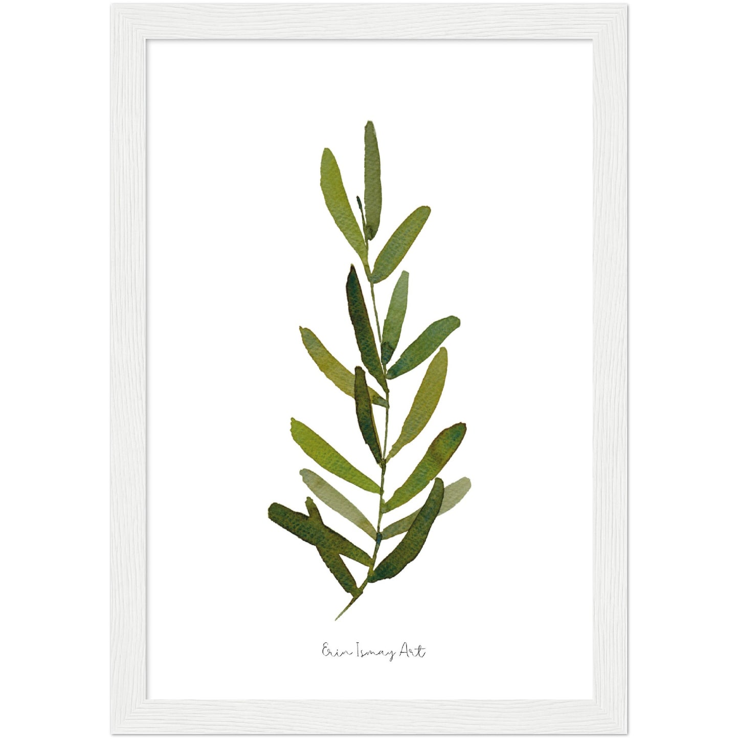 Single Olive Leaf Watercolour Print