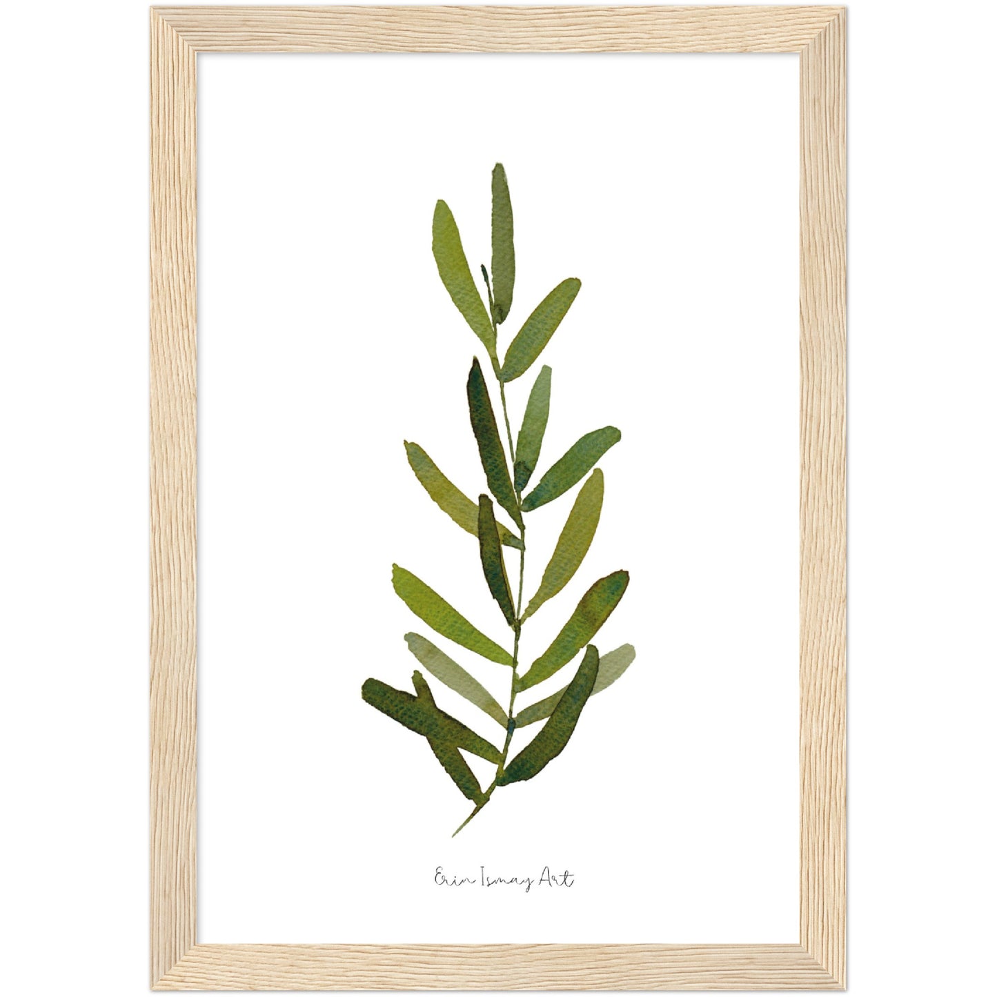 Single Olive Leaf Watercolour Print